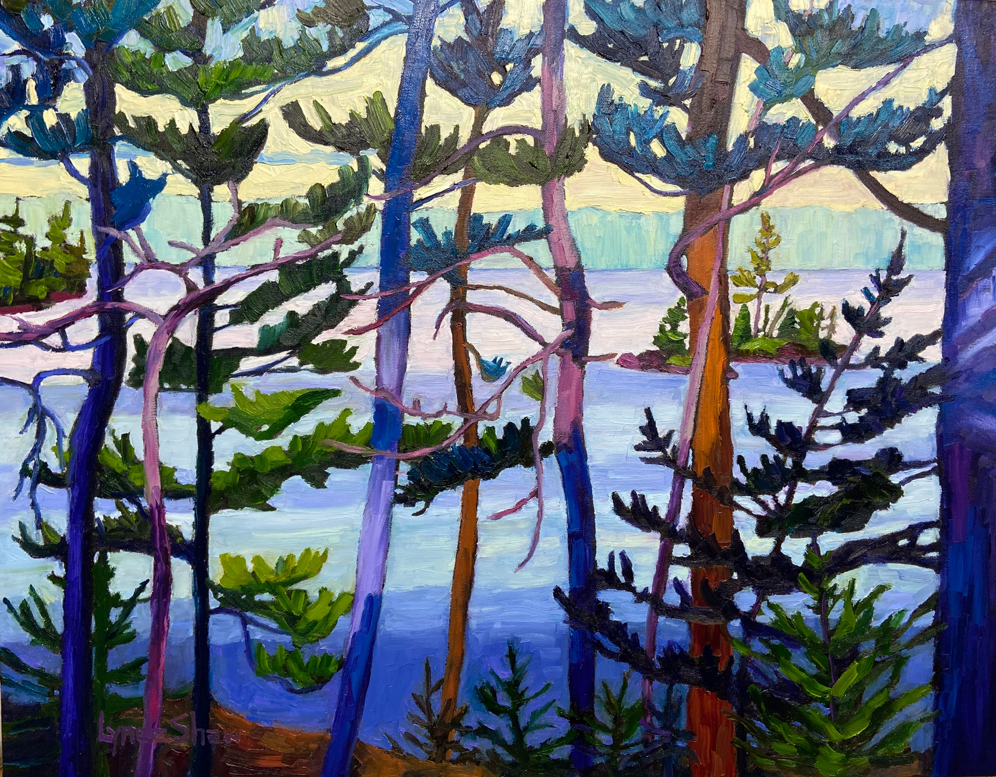 Morning Light on the Far Shore    28"x22"