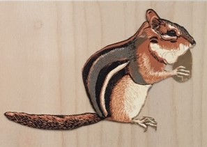 Peanut IV v.e. 9/10, 5x7"