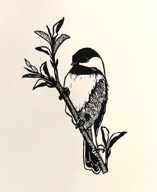 Chickadee