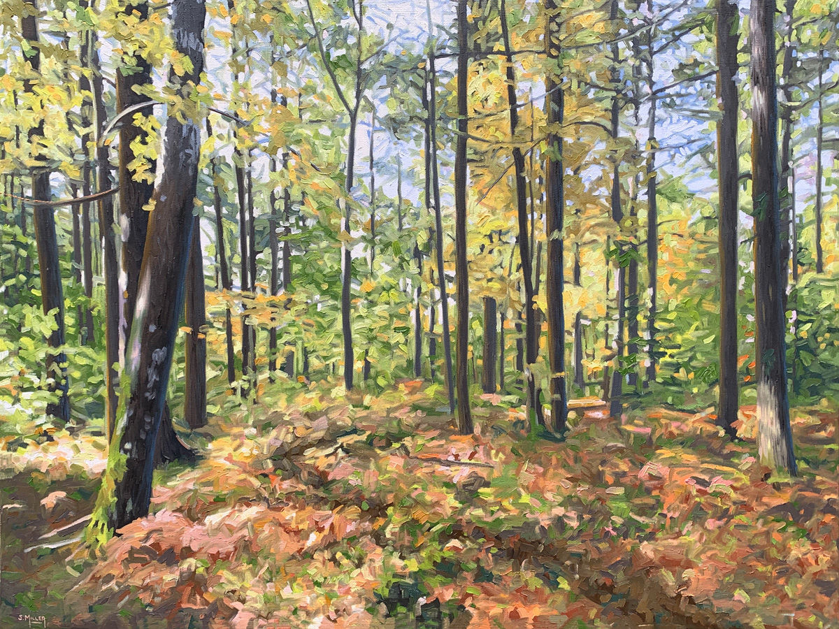 On The Right Path, 18x24"