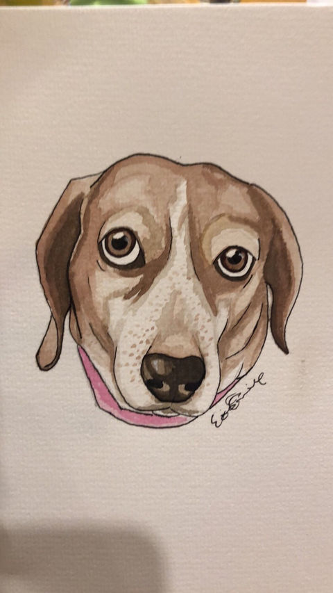 Ellie