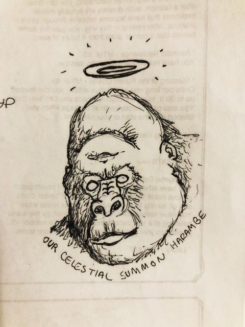 Blessed Harambe