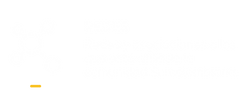 REDES