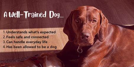 Definition of a well-trained dog