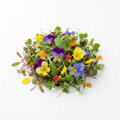 Chef's Blend