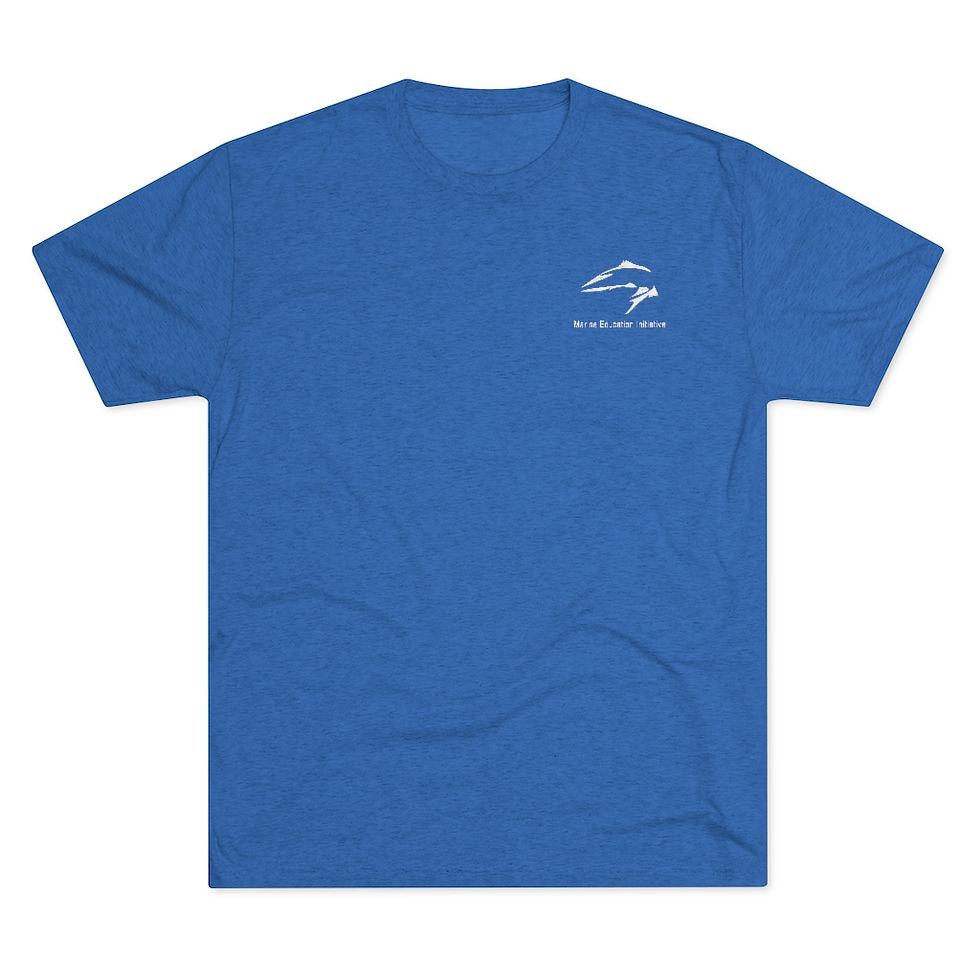 Thumbnail: MEI Men's Tee