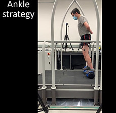 Hoverboard_ankle_strategy.jpg