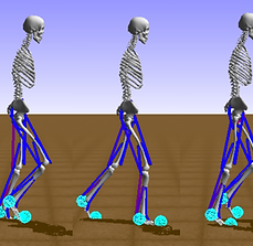 phase2gait.png