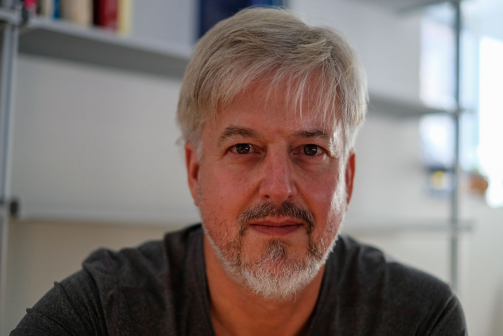 Contemporary living room with floor-to-ceiling windows, minimalist wood interiors, and modern furniture overlooking a wooded