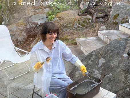 Ta med disken ut i det fina vädret - Poolarna Assistans