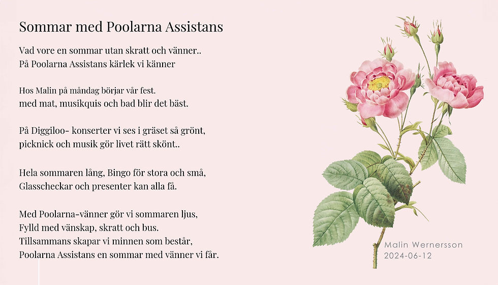 Sommar med Poolarna Assistnas