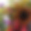 Thumbnail: Fall CSA