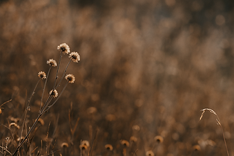 Womens Retreats Staffordshire