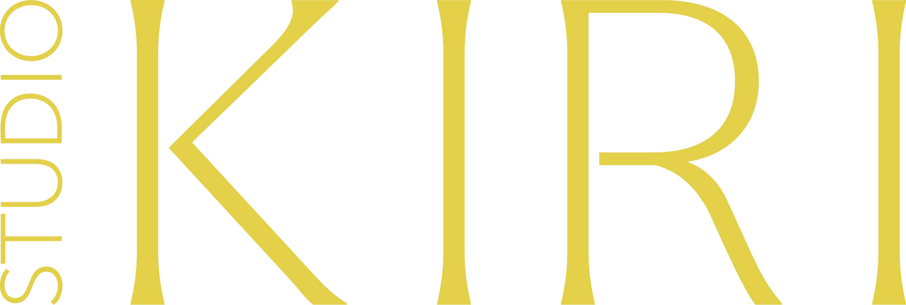 SK hotizontal yellow.png