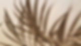 8fa070f111964eb03b862161bc7a2c49_edited.jpg