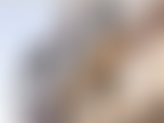 The Benefits of a Buyers Agent When Purchasing Property in Mallorca.