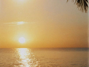 Wave Relaxation Track