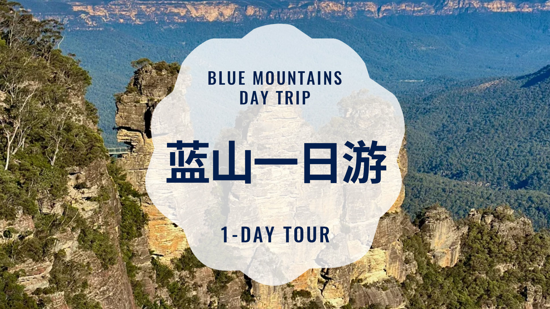 蓝山一日游(悉尼出发|悉尼动物园送照片|蓝山缆车 中文团)