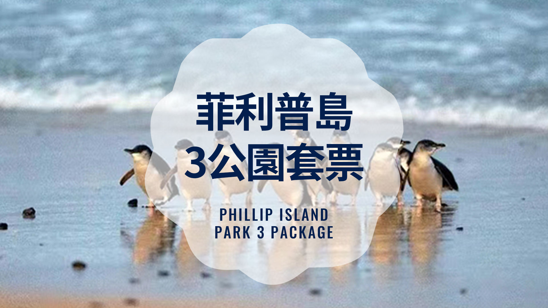 菲利普島 3 號公園通行證