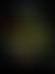 КОЛЕСО ОГЛЯДУ