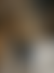 Мільйон доларів чи мух?