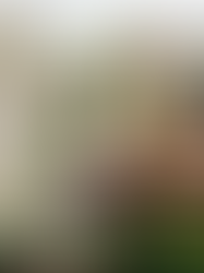 БЕНКЕТ НА МЕЖІ СВІТІВ