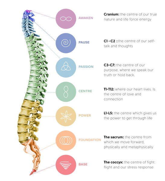 SPINAL-FLOW-GATEWAY-CHART-WHITE-1-1402x1536.png