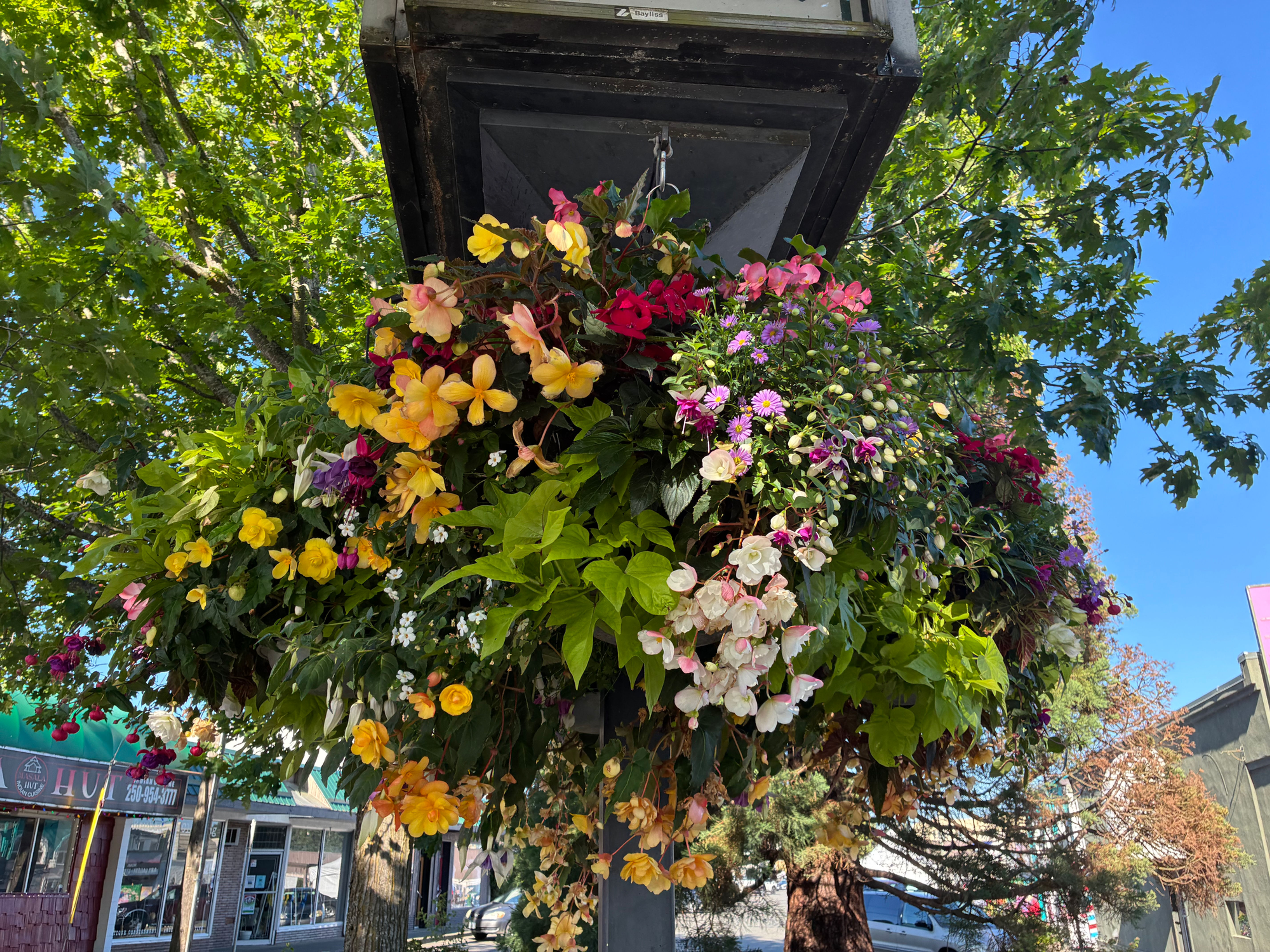 16” Moss Tropical Shade Basket