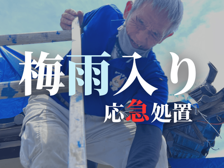梅雨入り葺き替え工事に向けての応急処置!