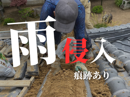 雨水侵入の痕跡あり!?熨斗瓦が多すぎた部分から雨が侵入した可能性が高いと思われます