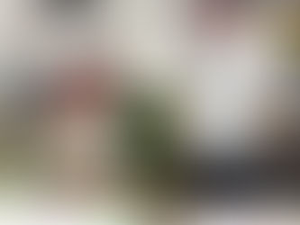 寺子屋通信載せてあります。