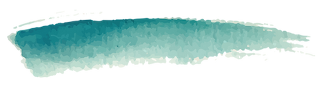 rasvida brush 2_edited.png