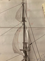 © Courtney J Andersen