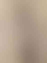 © Courtney J Andersen