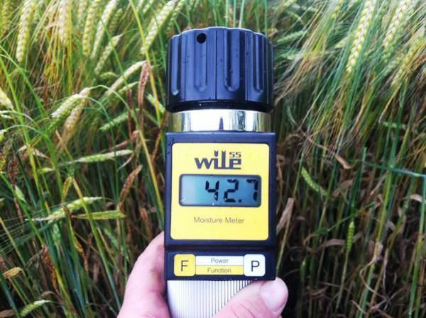 Miniatură: Umidometru pentru cereale Wile 55