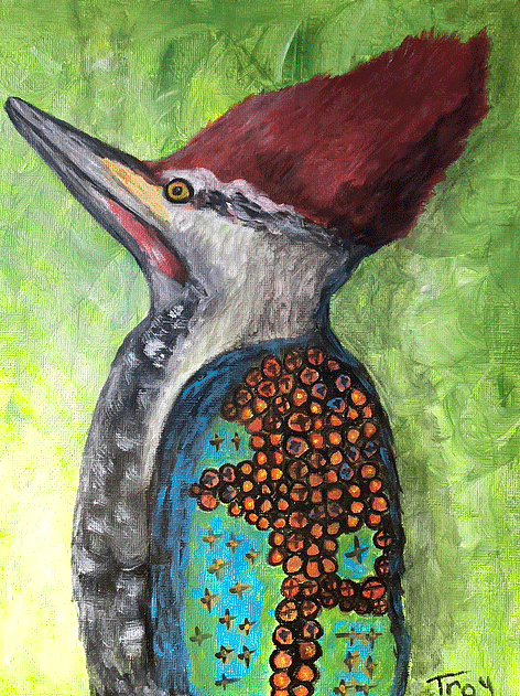 Noble Pileated Woodpecker