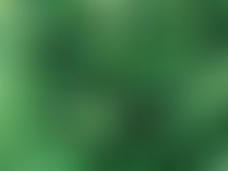 The Hemp Revolution: A Sustainable Future for the UK