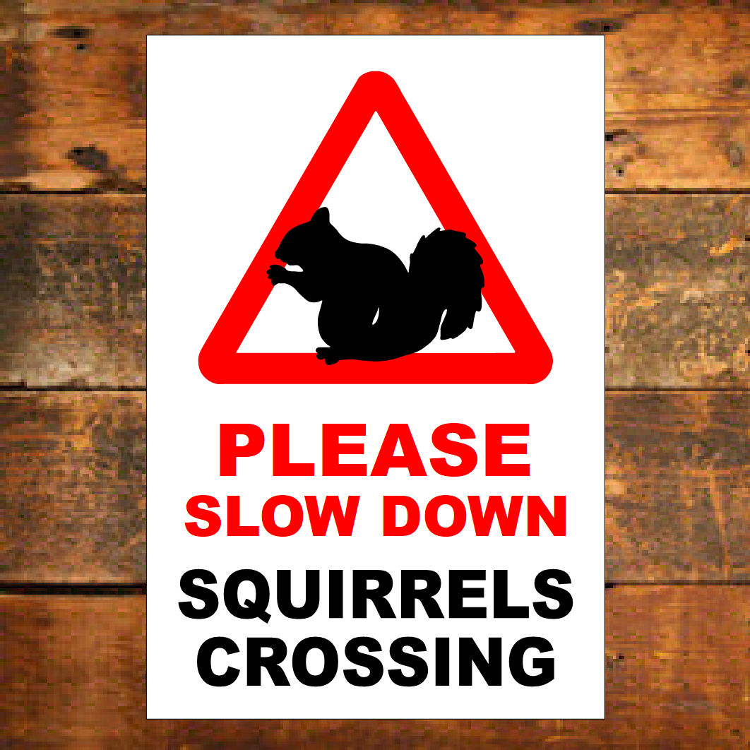 Please slow down Squirrels crossing sign 9810