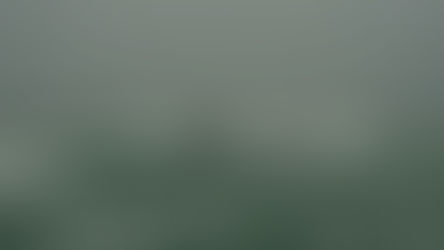 Navigating Uncertainty: Lessons from Exodus 14:13–14