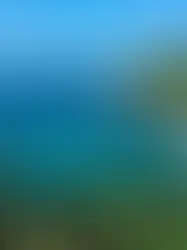 ¿De dónde proviene el nombre de Puerto Escondido?