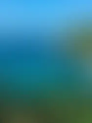 ¿De dónde proviene el nombre de Puerto Escondido?