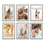 Miniatura: Set de 6 Cuadros
