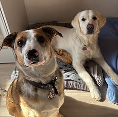 Nikka et Bella