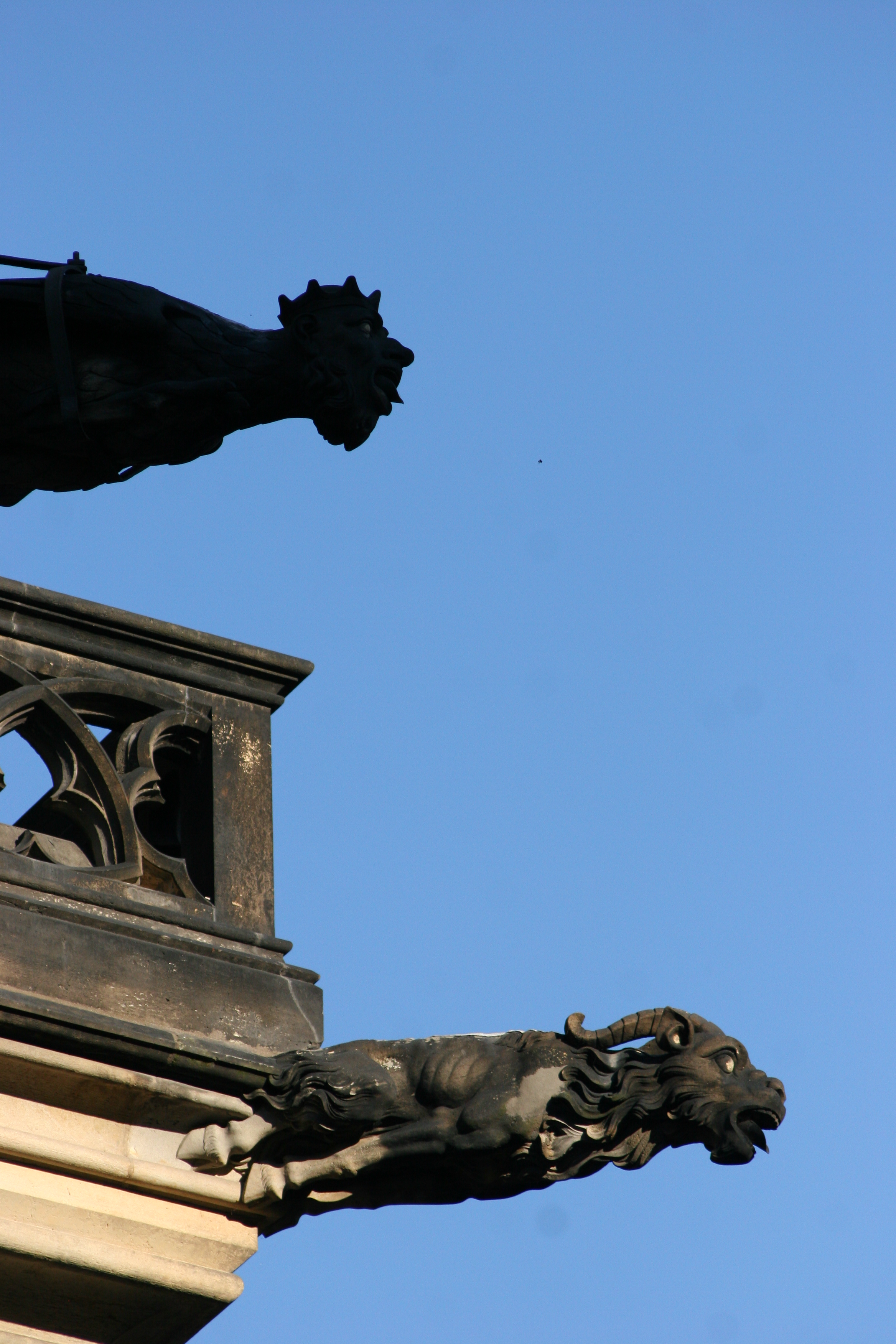gargoyles