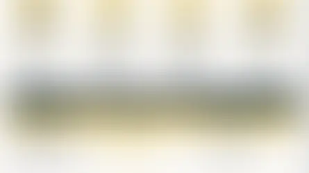 2026 메이저사이트 선택 기준