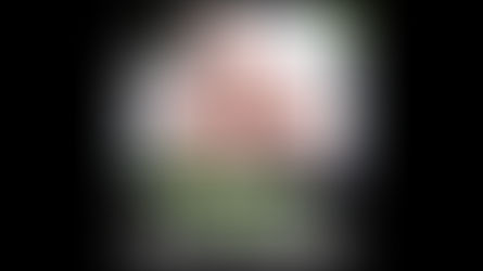 토토총판, 누구나 할 수 있다 어떻게 시작해야할까 총판 노하우 설명