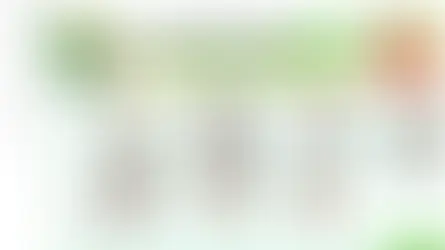 먹튀신고 폭증 - 라이즈카지노 시제떨어진 카지노사이트 조심하세요