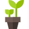 plant.png
