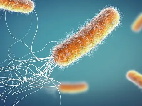 Superbug Infections