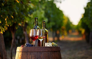 Wine country Tours Car Rentals